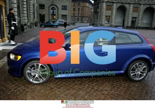 Swedish King in Eco-Friendly Car