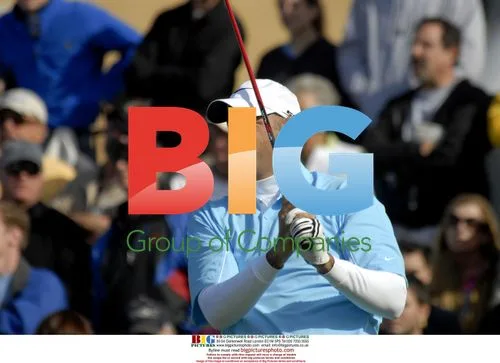Stewart Cink reacts at Buick Invitational