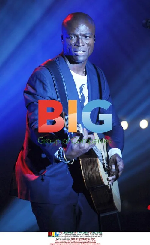 Seal performs at Musicians On Call Benefit