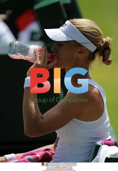 Elena Dementieva wins 3rd round at Wimbledon