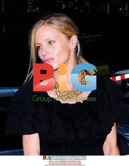 Celebrities at Stella Maccartney Dinner Party
