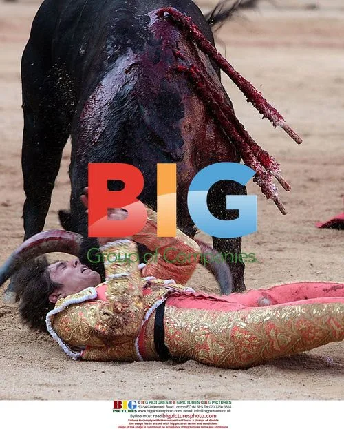 French Bullfighter Suffers Bull Crash