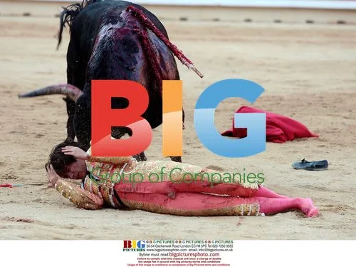 Bullfighter Castella Suffers Embarrassment in Pamplona