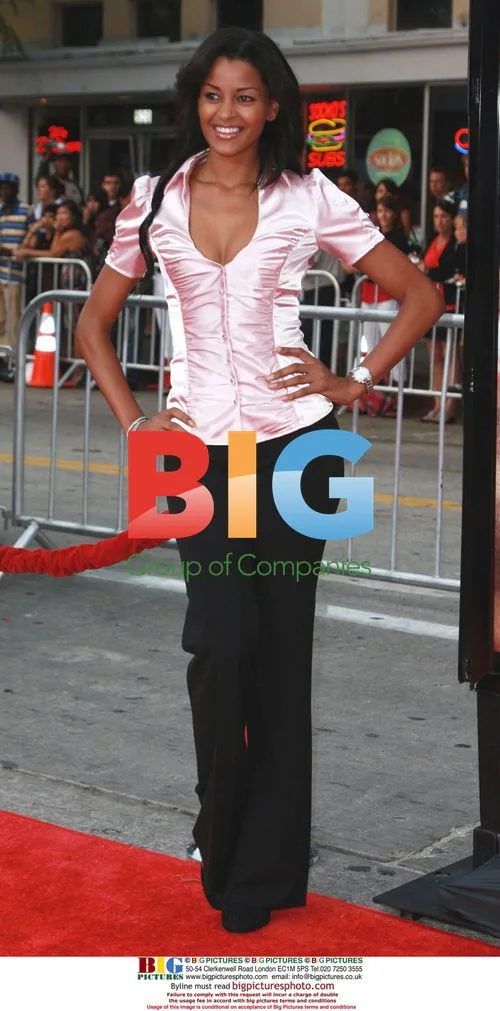 Claudia Jordan at 'Meet Dave' Premiere