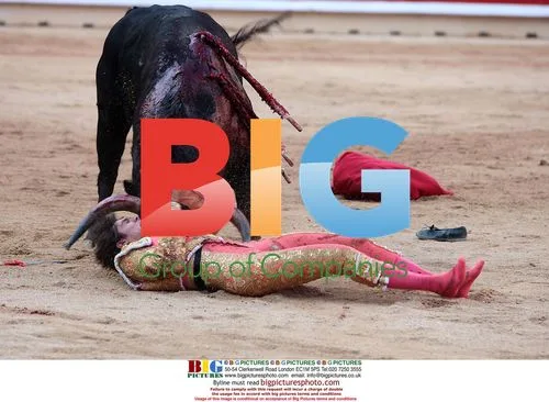 Spanish bullfighter suffers costume malfunction
