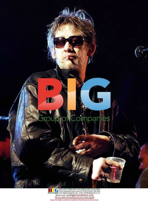 Shane MacGowan performs at Analog Festival
