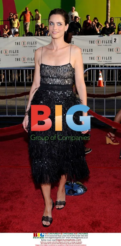 Amanda Peet at 'The X-Files' Premiere