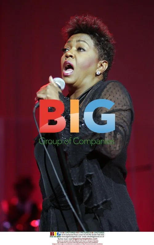 Anita Baker performs in concert