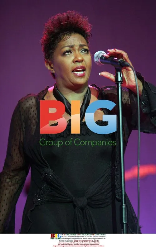 Anita Baker Performs in Concert