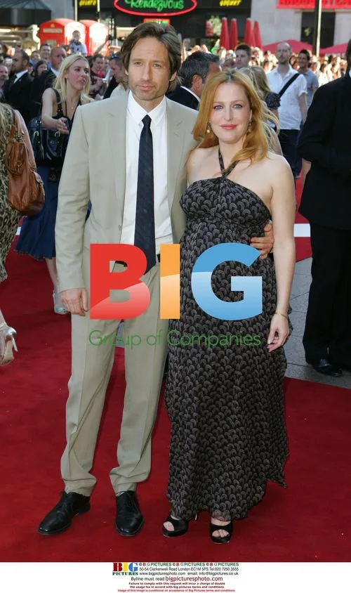 Gillian Anderson and David Duchovny at 'X Files' premiere