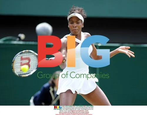 Venus Williams wins Wimbledon semi-final
