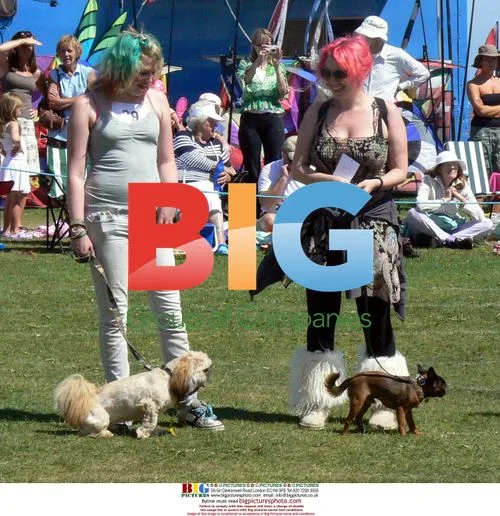 Ross Family at Swanage Regatta Carnival 2008