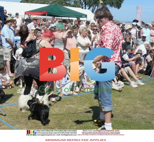 Ross Family's Dogs Strut at Swanage Carnival