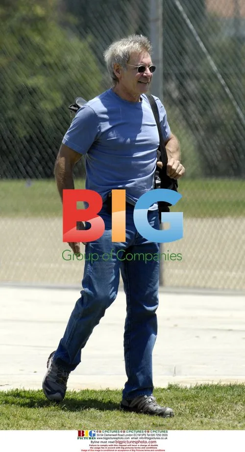Harrison Ford and Calista Flockhart Watch Son Play Baseball