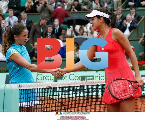 Ana Ivanovic reacts after point against Patty Schnyder