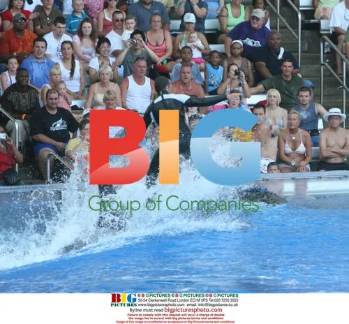 John Terry Family Day at Florida Theme Park