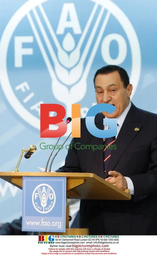 Mubarak at Climate Conference in Rome
