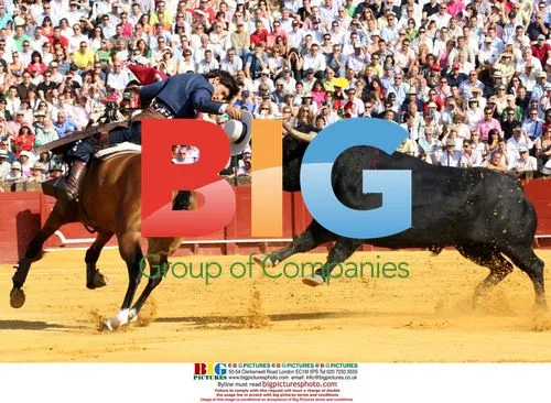 Spanish King and Princess Inaugurate Equestrian Sculpture