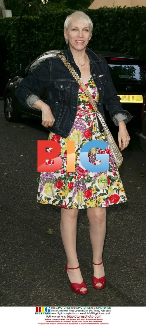 Annie Lennox at Observer Ethical Awards