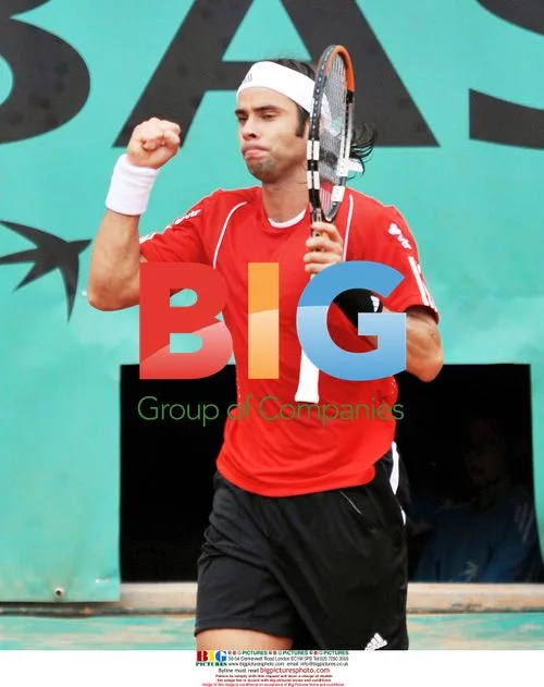 Fernando Gonzalez at 2008 French Open