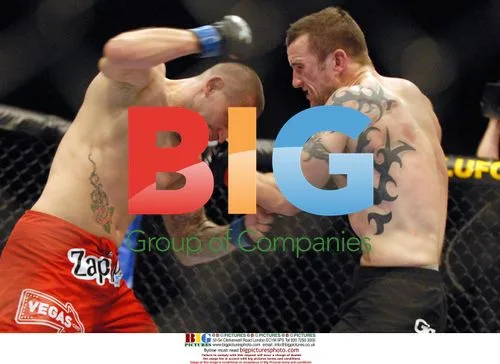 UFC 85 'Bedlam' at O2 Arena