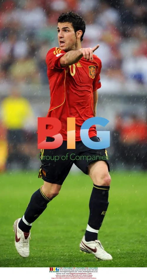 Spain vs Russia UEFA Euro 2008 Match