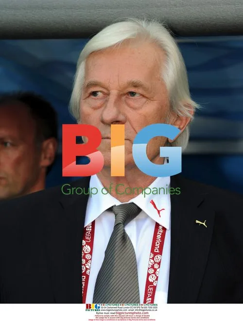 Czech Republic coach Karel Bruckner at Euro 2008 match