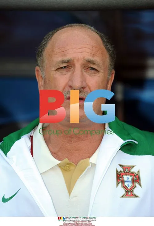 Luiz Felipe Scolari at Euro 2008 match