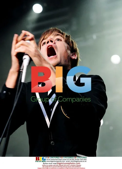 The Hives performing at Hultsfred Festival 2008