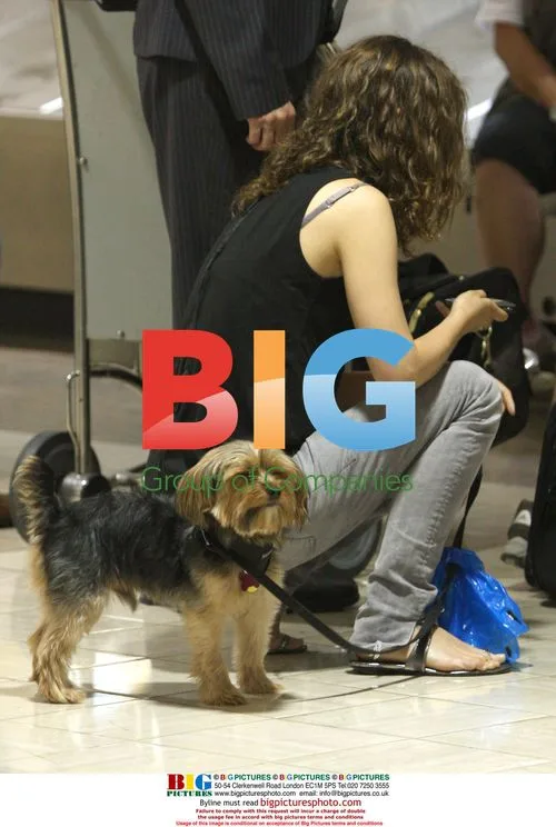 Natalie Portman walks dog, kisses Devendra Banhart at LAX