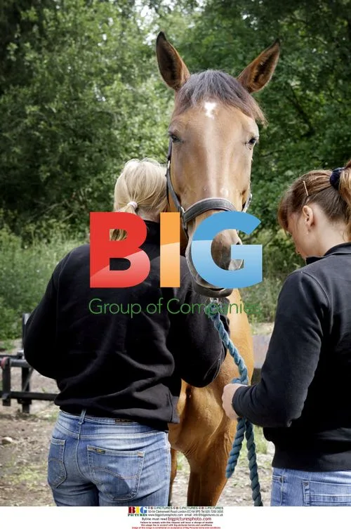 Horse Euthanasia for Zoo