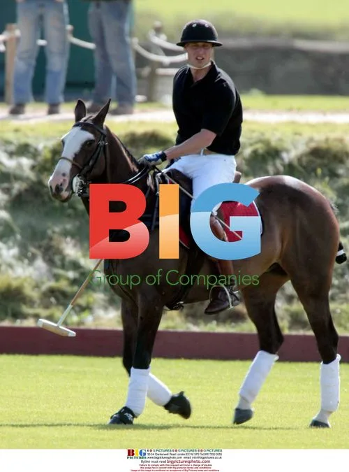 Prince William, Prince Harry attend polo match