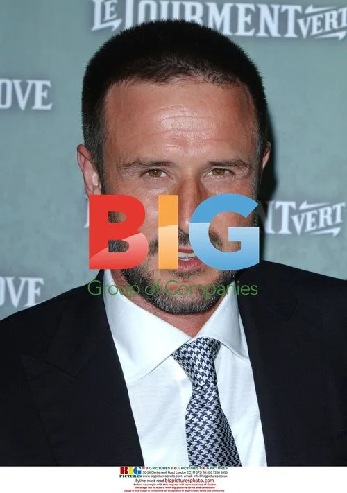David Arquette at "The Butler's in Love" premiere