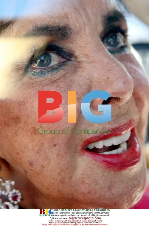 Elizabeth Taylor celebrates Gay Marriage in West Hollywood