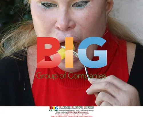 Jocelyn Wildenstein Lunches with Boyfriend
