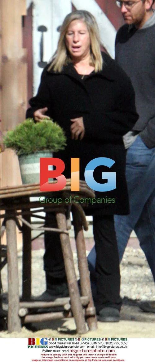 Barbara Streisand Directs Landscapers