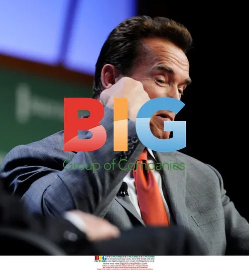 Schwarzenegger at 2008 Milken Conference