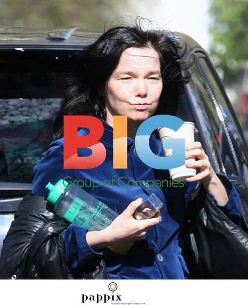 Bjork hails a taxi in London