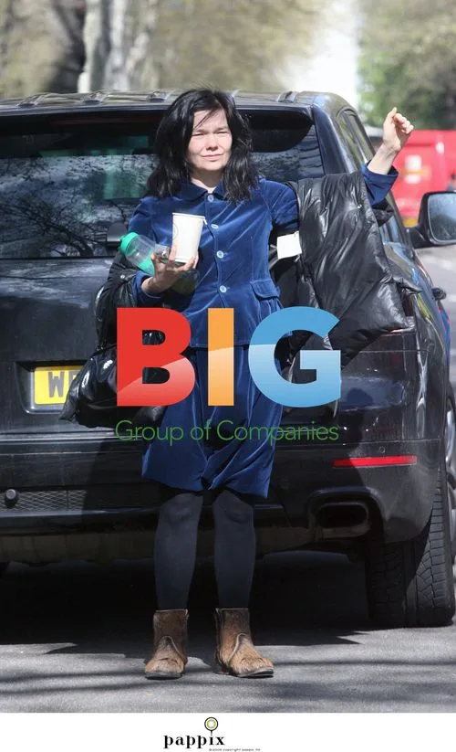Bjork hails a taxi in London