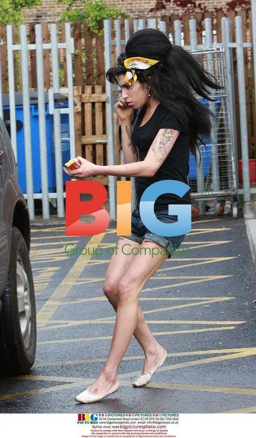 Amy Winehouse: Bond Theme Pulled