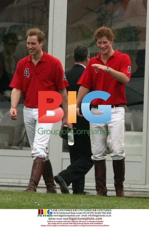 Princes William and Harry attend Audi Polo match