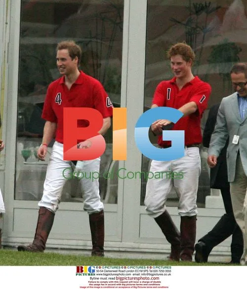 Princes William and Harry at Audi Polo Match