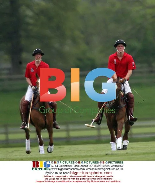 Princes William and Harry play polo