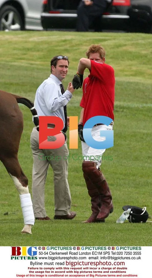 Princes William and Harry at Audi Polo Match