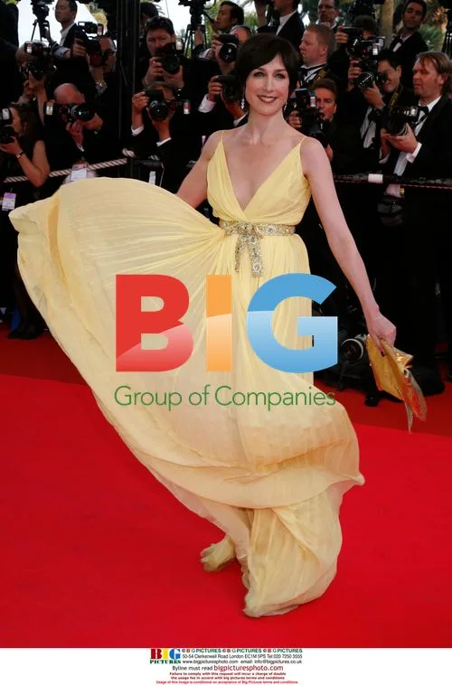 Elsa Zylberstein at 2008 Cannes Film Festival