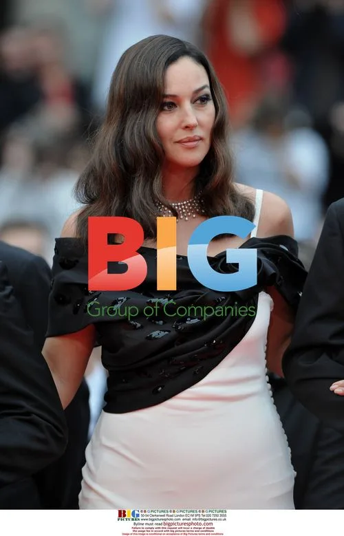 Cannes Film Festival Premiere