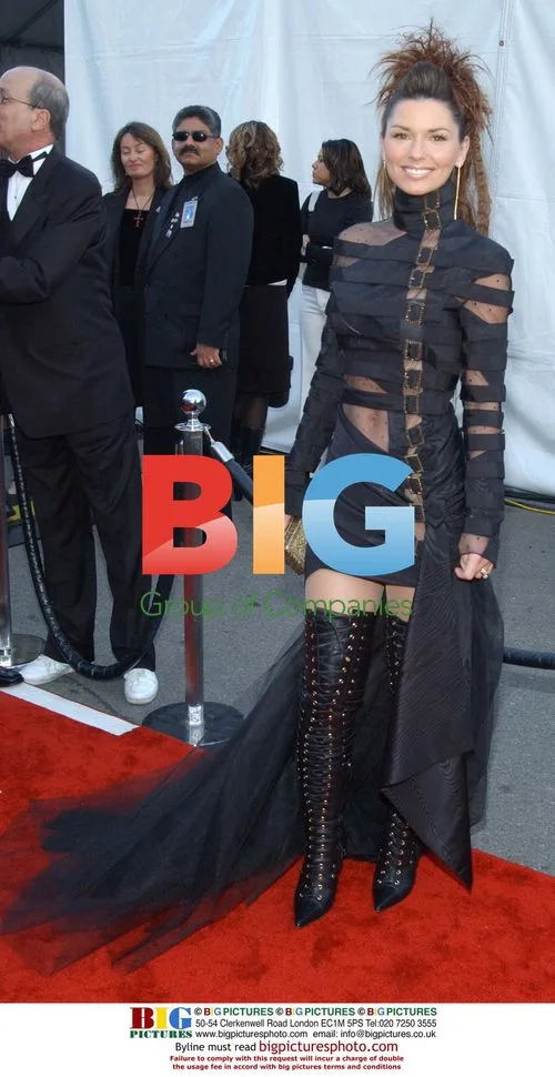 Shania Twain at American Music Awards
