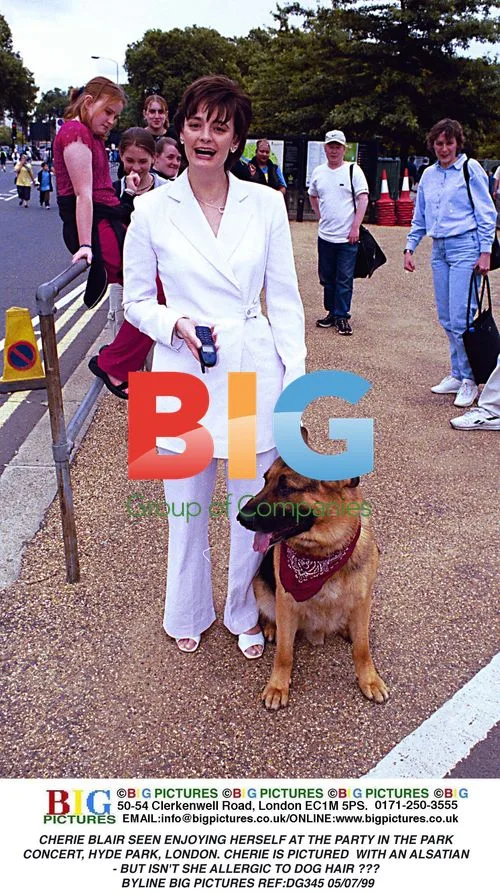 Cherie Blair at Party in the Park concert