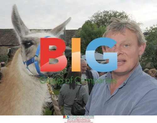 Martin Clunes with Llama