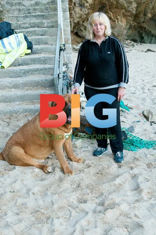 St. Bernard Dog Rescued from Beach in Cornwall
